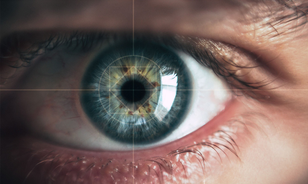 Fisiologia de la visió