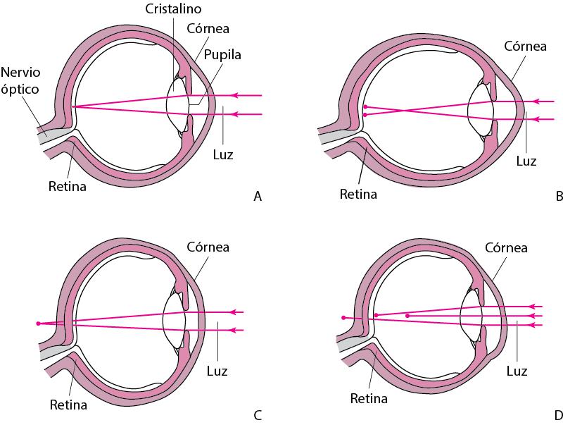 Explicación visual